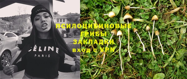 тгк Абаза