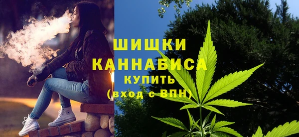 дживик Заводоуковск