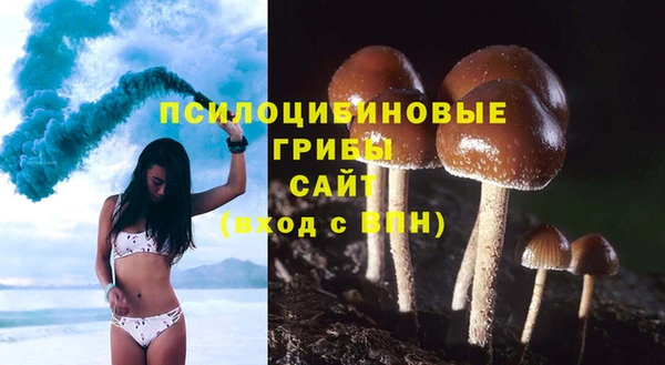 тгк Абаза