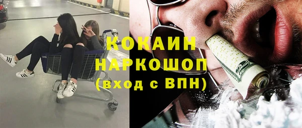 тгк Абаза
