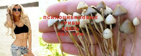 дурь Алзамай