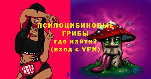 ПСИЛОЦИБИНОВЫЕ ГРИБЫ Абдулино